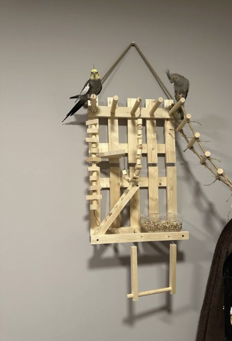 Игровой стенд на стену для попугая