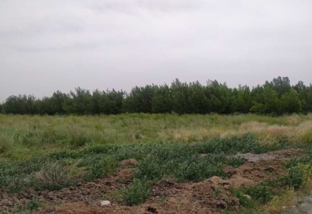 Ферма сотилади 14 гектар йери билан