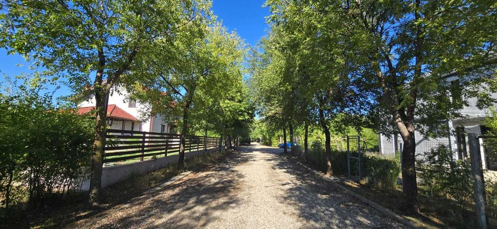 Loturi constructie intre 80-95 Euro/mp - Afumati, Strada Padurii