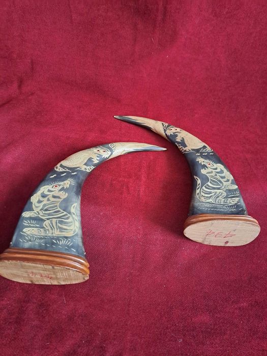 coarne de bivol sculptate