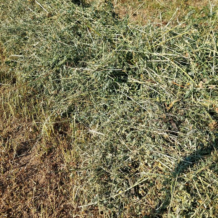 Baloti fân și lucerna