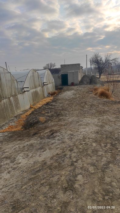 Иссиқхона 5,5 сотиқли tez va арзонга сотяпман