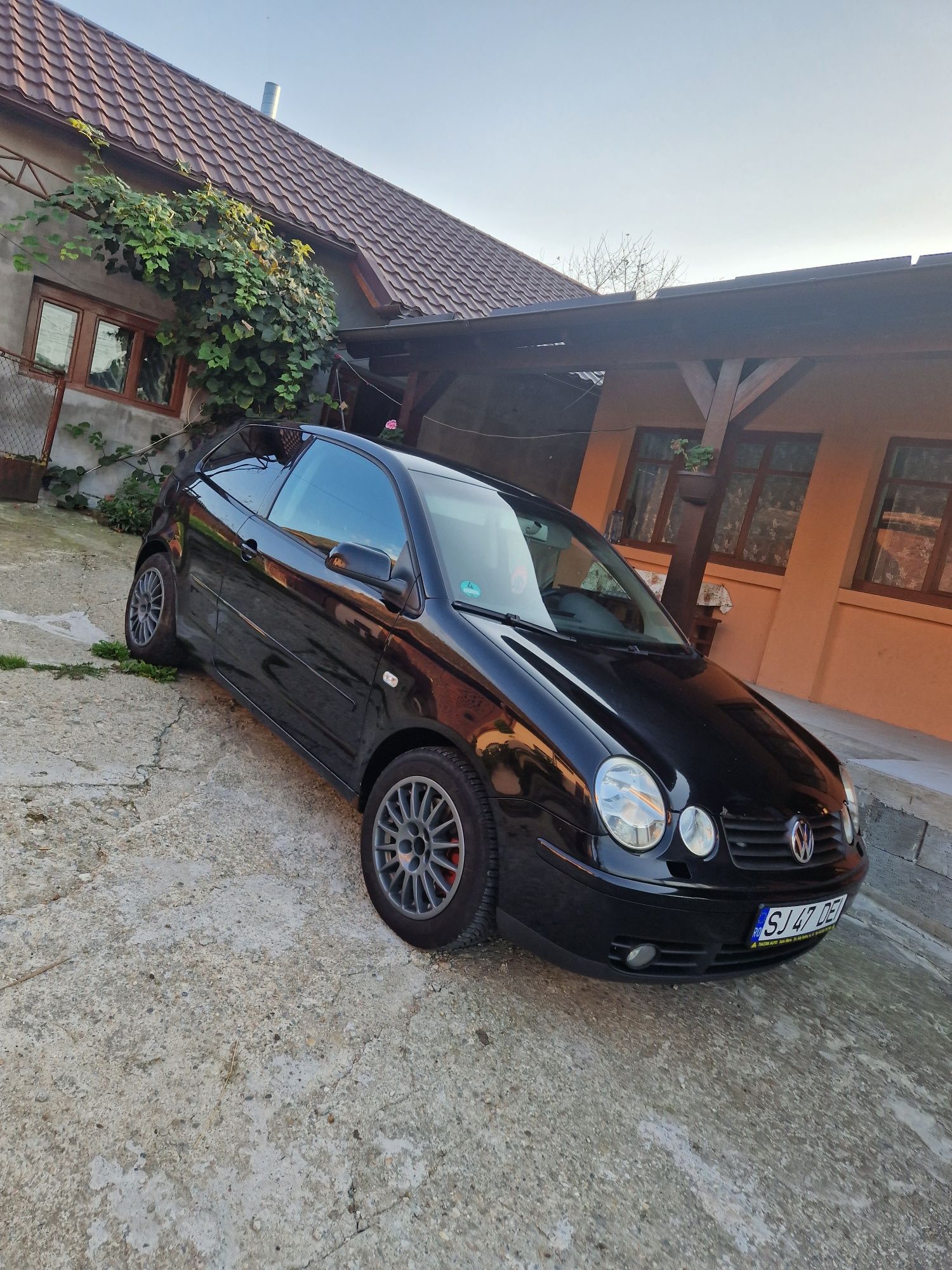 Polo 1.9 131 cp 2005