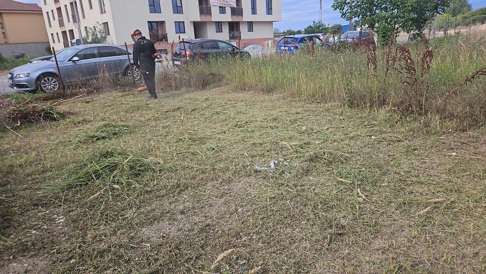 Defrisare mecanizata -curatare terenuri transport resturi vegetale