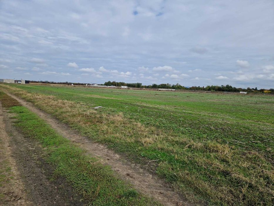 Teren de vanzare Clinceni, 615 mp