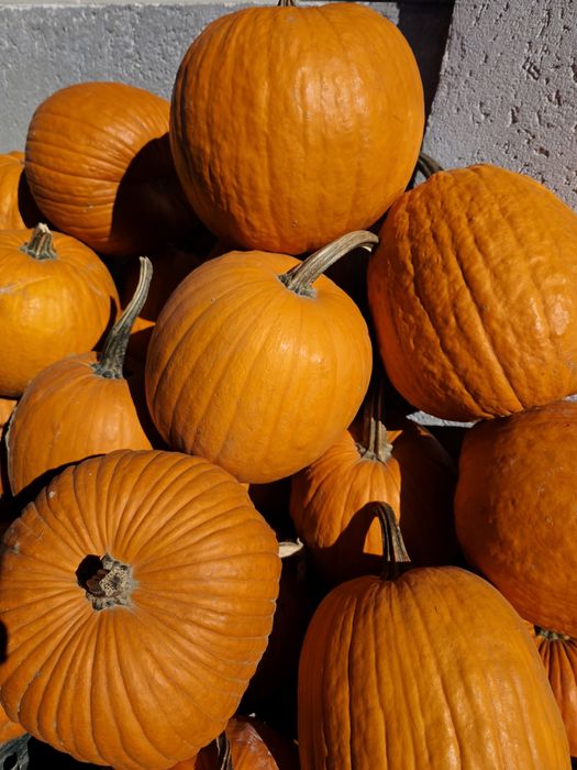 Dovleci Halloween