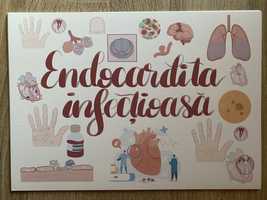 Planse Logia Endocardita & Boli miocard