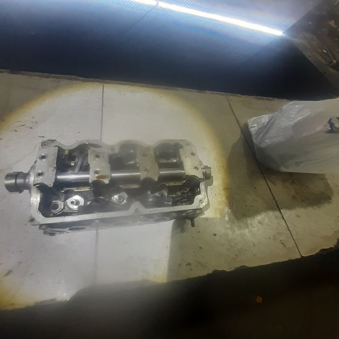 Damas galofka korea arginal