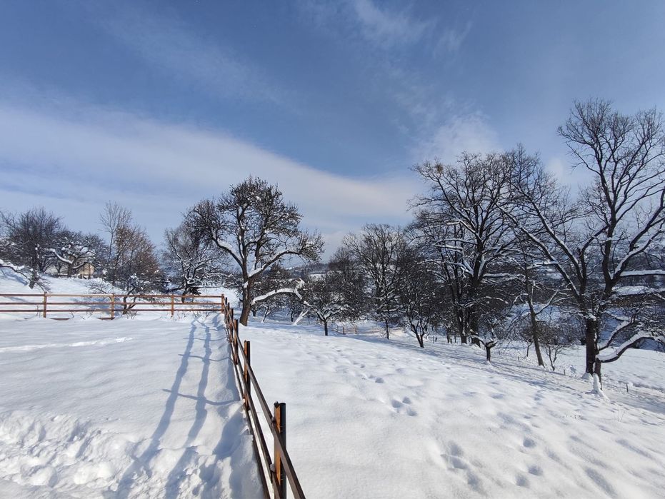 Vacanta de Craciun la Bran