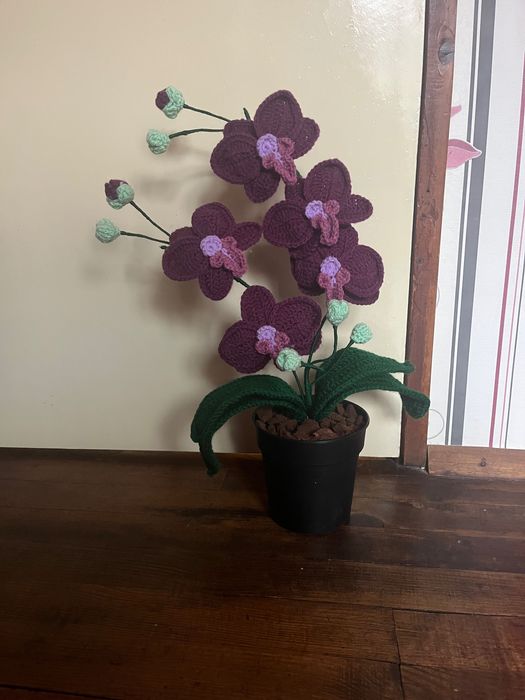 Плетени орхидеи-продавам