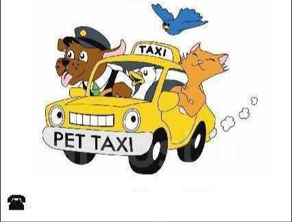 Зоо такси в стараната