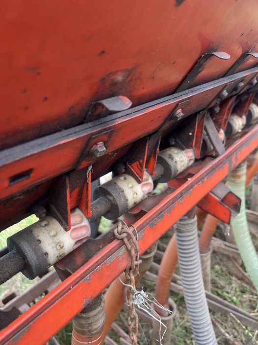 Semanatoare paioase Moreni