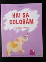 Hai sa coloram (carte de colorat)  - NOUA