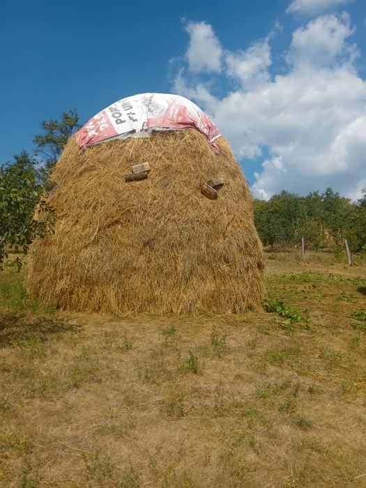 Vind fîn amestecat cu lucernă