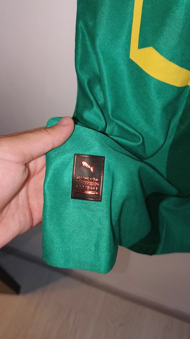 Tricou de fotbal cu echipa națională din Camerun