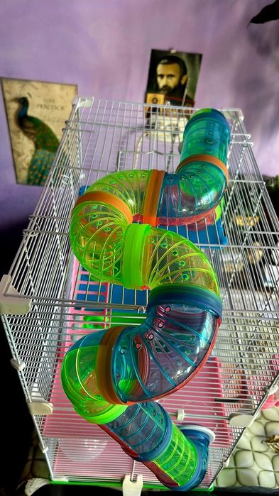 Vand cusca pt hamsteri