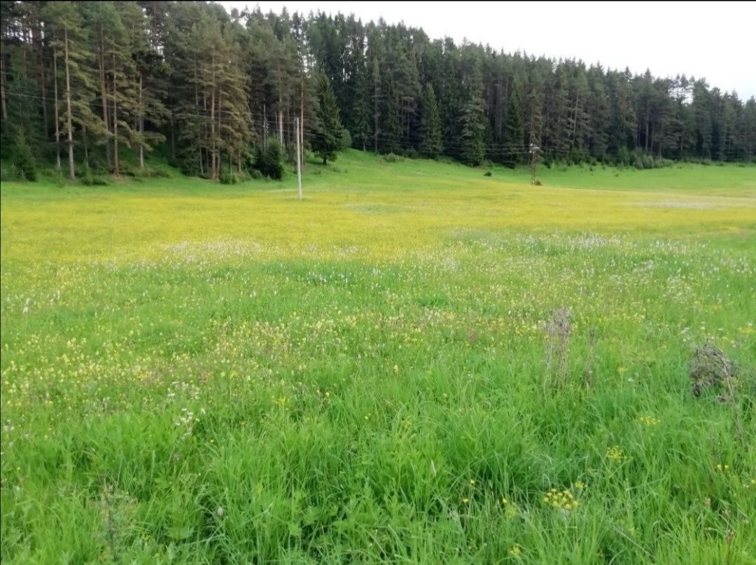 Продава се Парцел в с. Маджаре, Област София-област - 2500 кв.м за 31 €/кв.м - Снимка #4