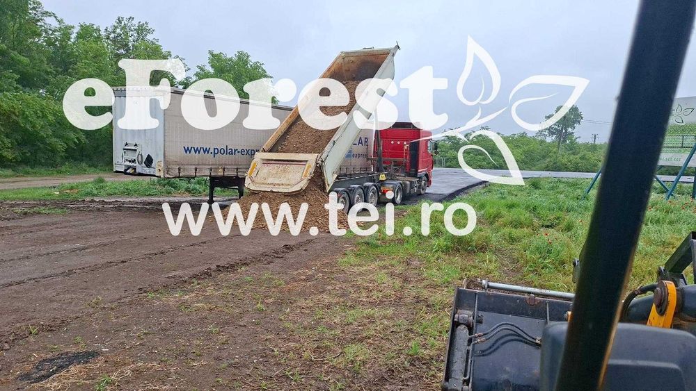 Loturi de teren în eForest, după Buftea, cu acces direct la DN1A