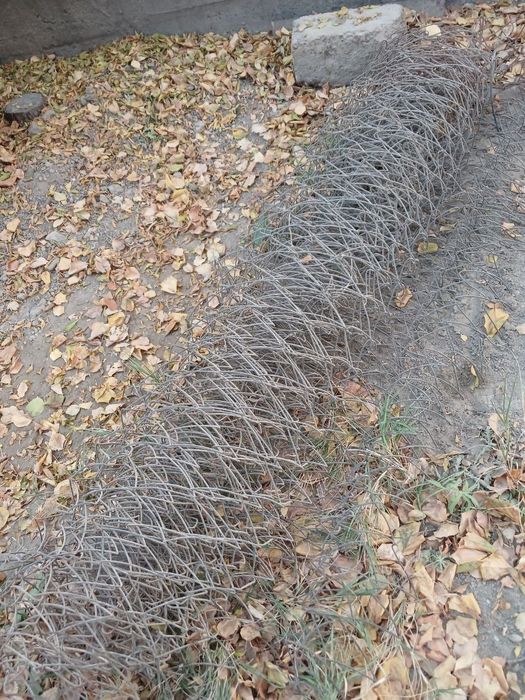 Setka yangi 8m . Сетка янги