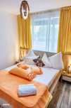 Apartament Madagascar Boutique Citadel