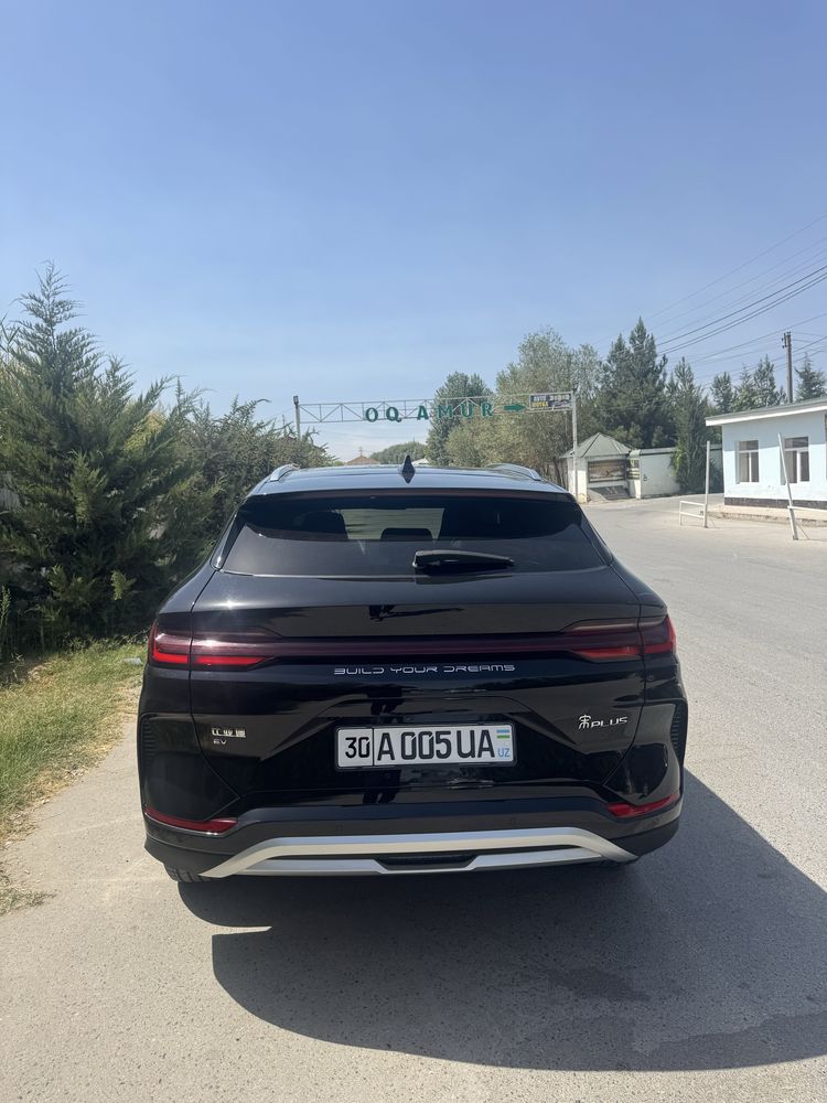 BYD CHAMPION electro car