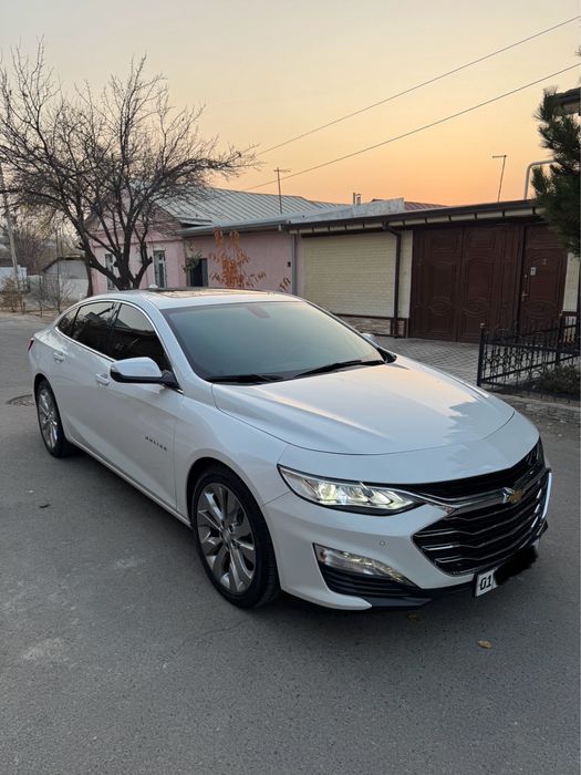 Malibu Premier 2021-22 tozza ideal