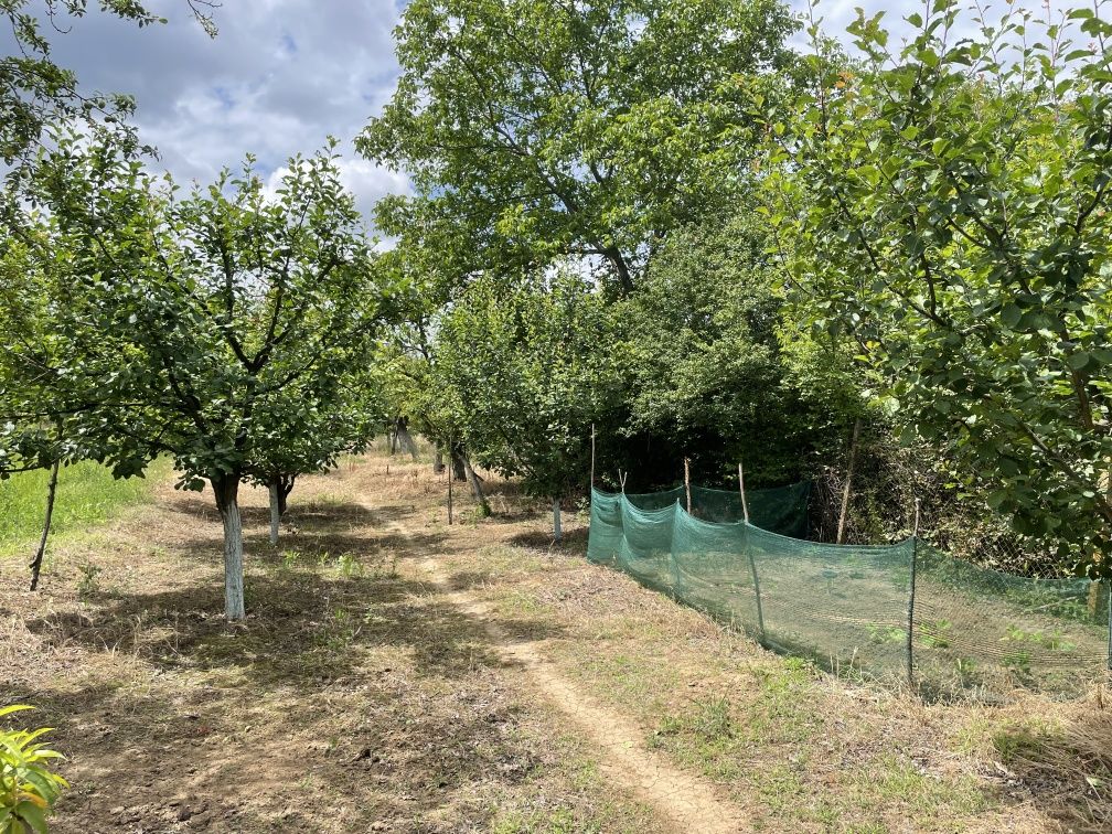 Продава се Парцел в Търговище, Промишлена зона - 1090 кв.м за 13 €/кв.м - Снимка #10