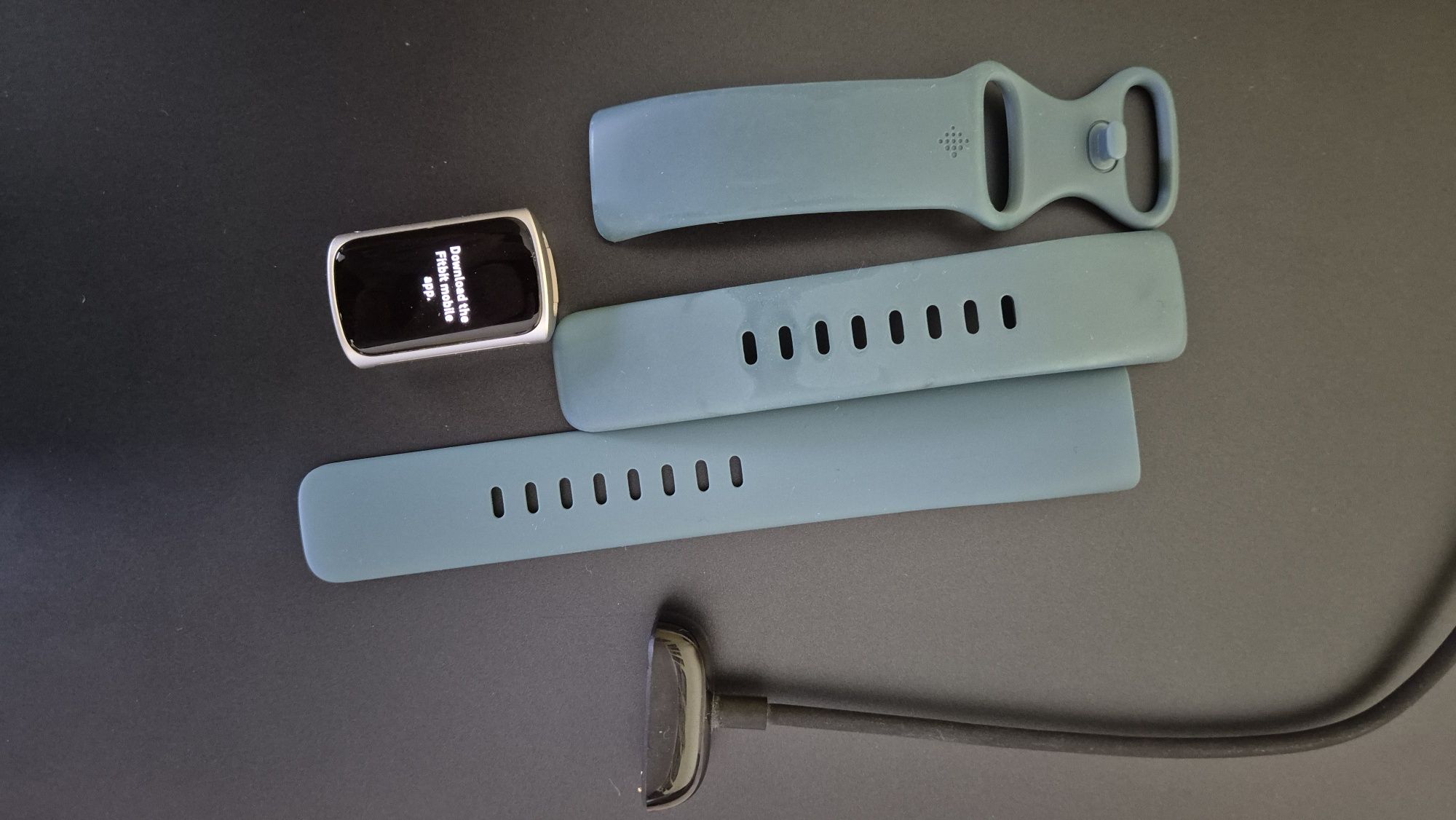 Fitbit Charge 5 Steel Blue Platinum