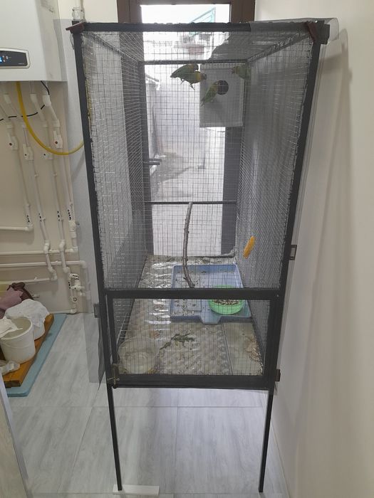 Продаётся попугай +клетка