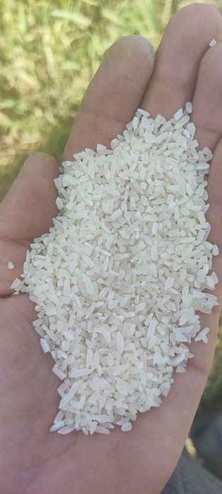 Lazer guruch drablyonka