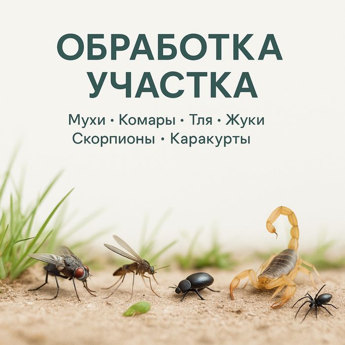 Уничтожение Вредителей с Гарантией