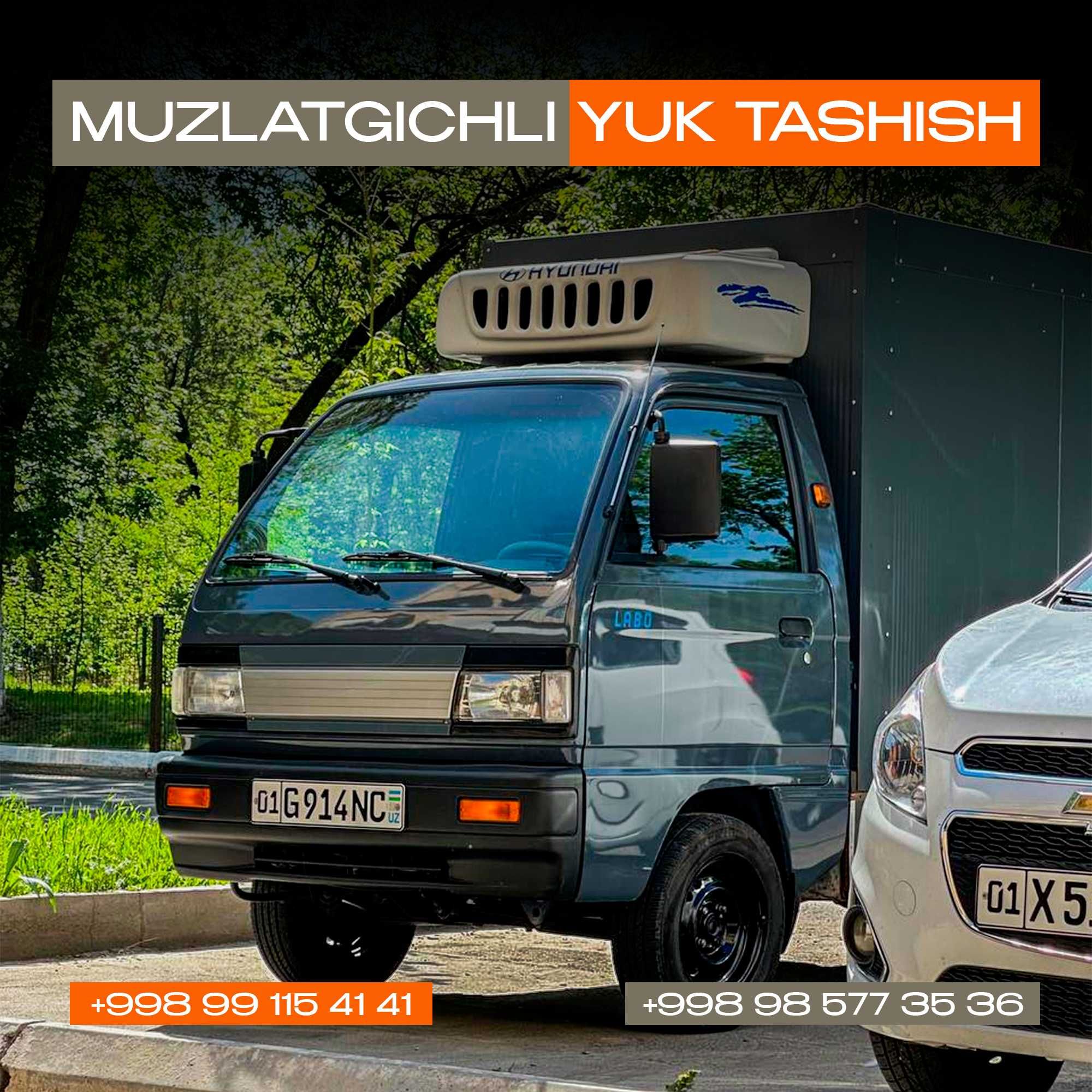 Go‘sht, Sut, Dori-Darmon uchun Sovuq Labo – Yuk Xizmati