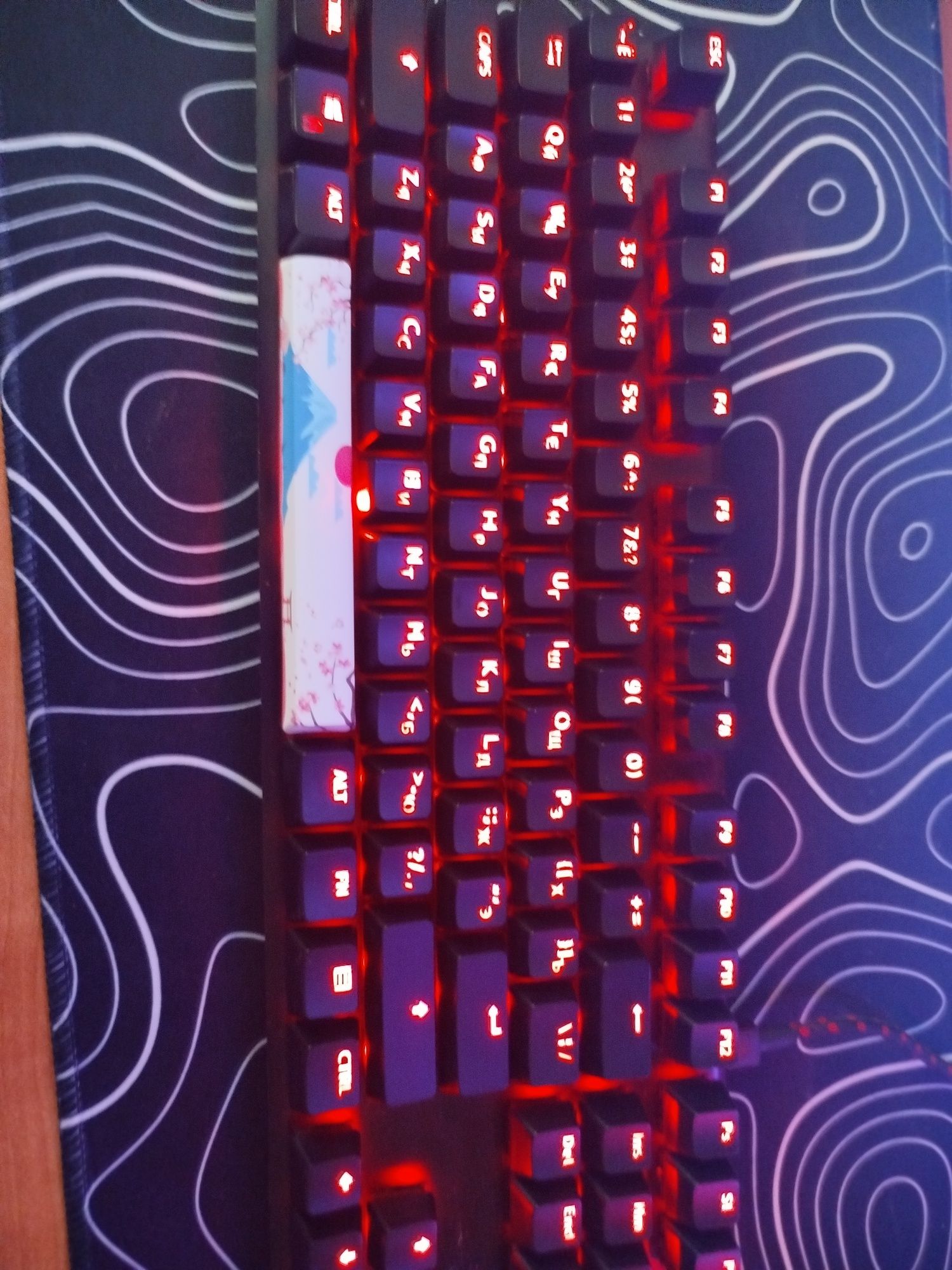 Hyperx alloy fps pro