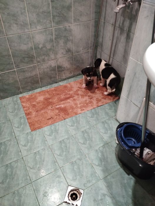 Дари грижа, ще получиш любов!