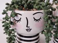 Set 2 decoratiuni portelan cu plante artificiale, 15 cm