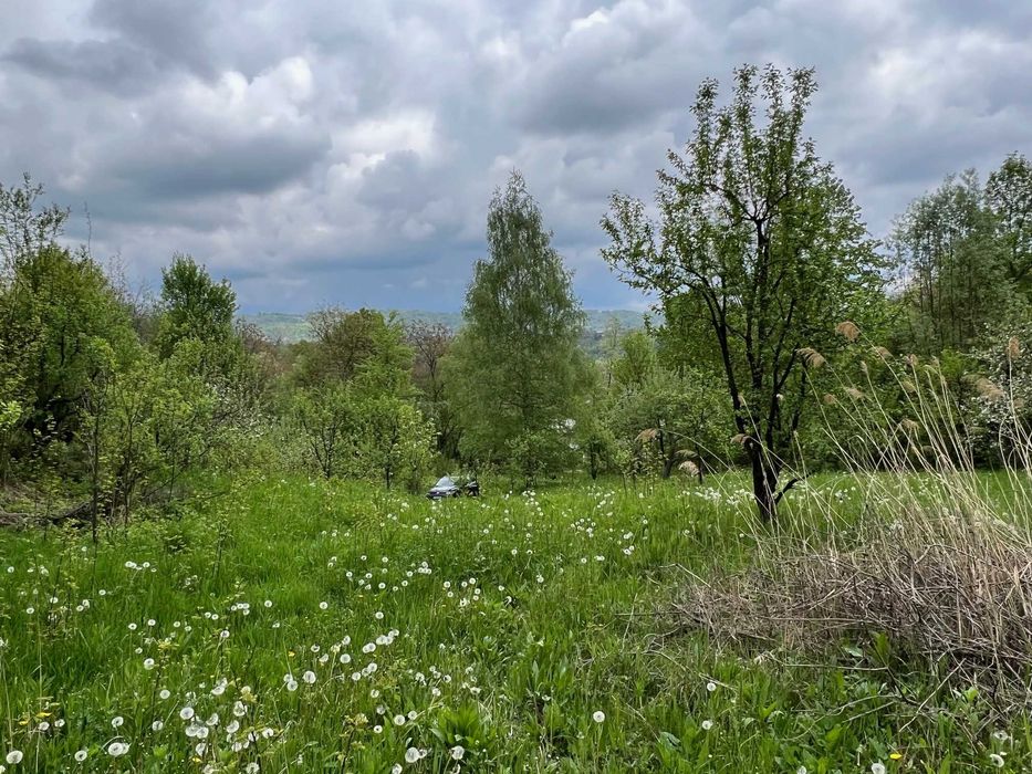 Vand teren Breaza, 10.000 mp