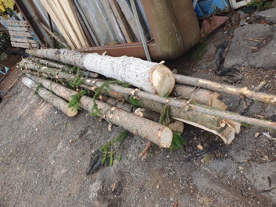 Popi de brad lungi de 6 metri grosime intre 15 si 30 cm.