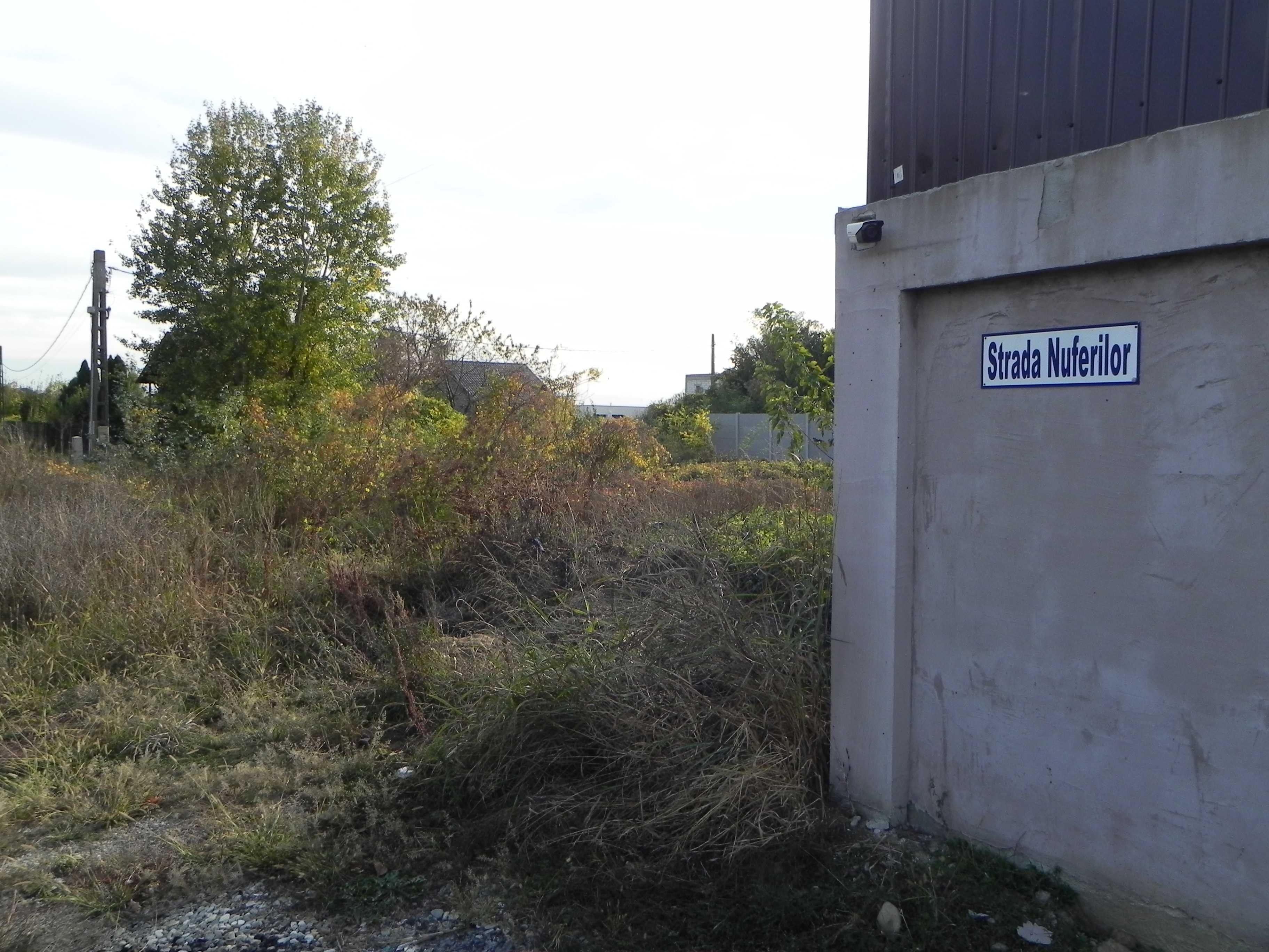 Teren intravilan -pozitie deosebita-langa padure-Domnesti-Teghes