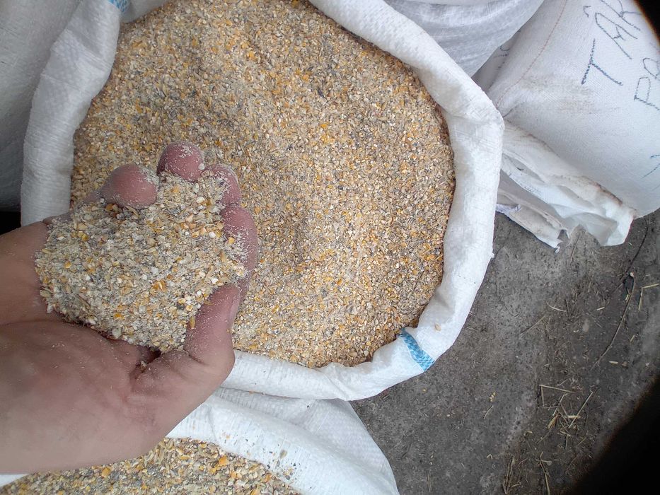 vind  amestec de cereale macinat format din mai multe cereale ,Concent