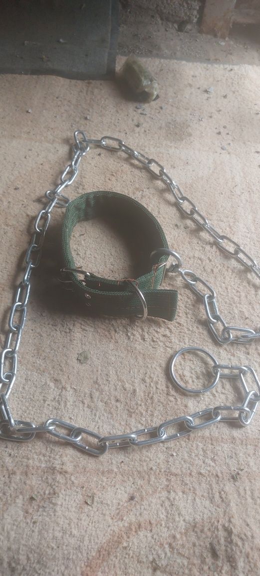 Цепь с ошейником новый