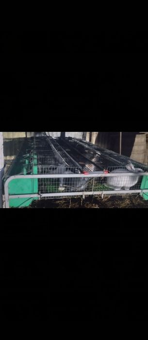 Vând cușcă iepuri 12 compartimente