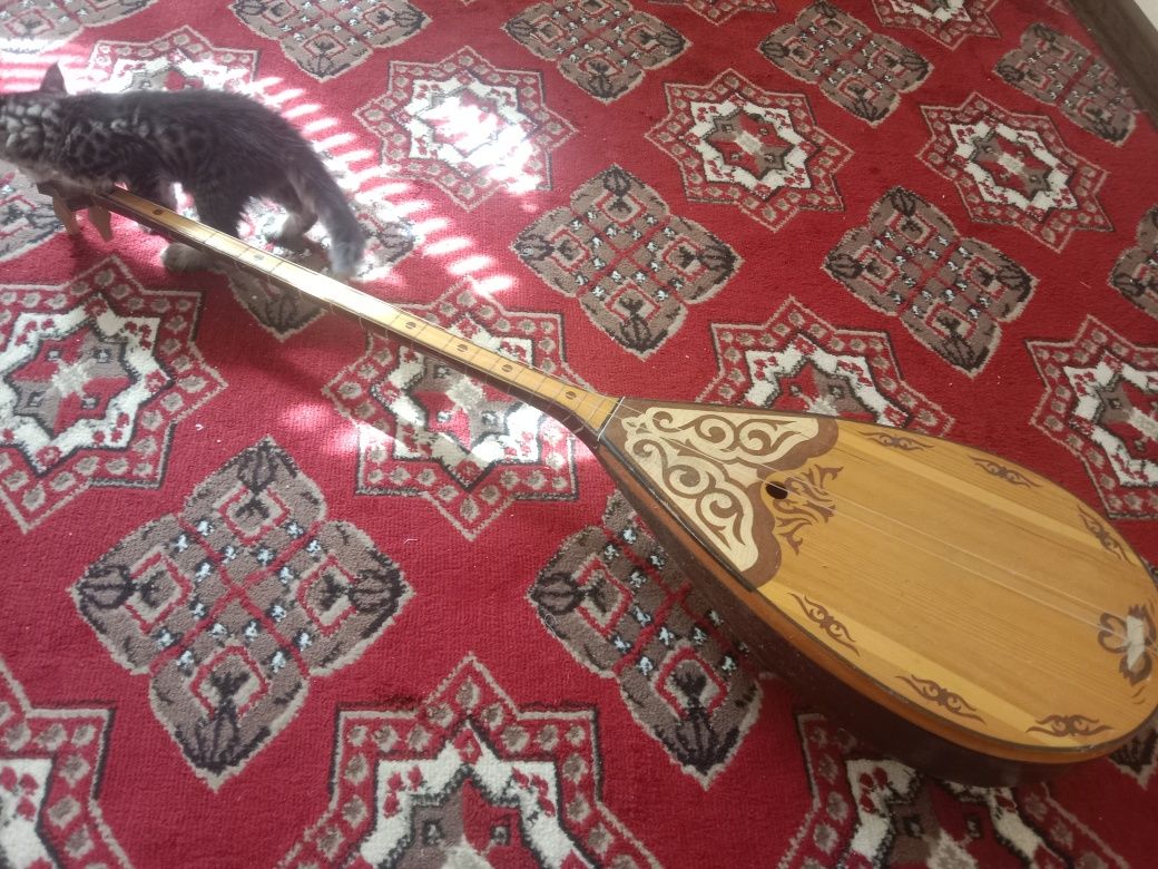 Dombira satiladi.