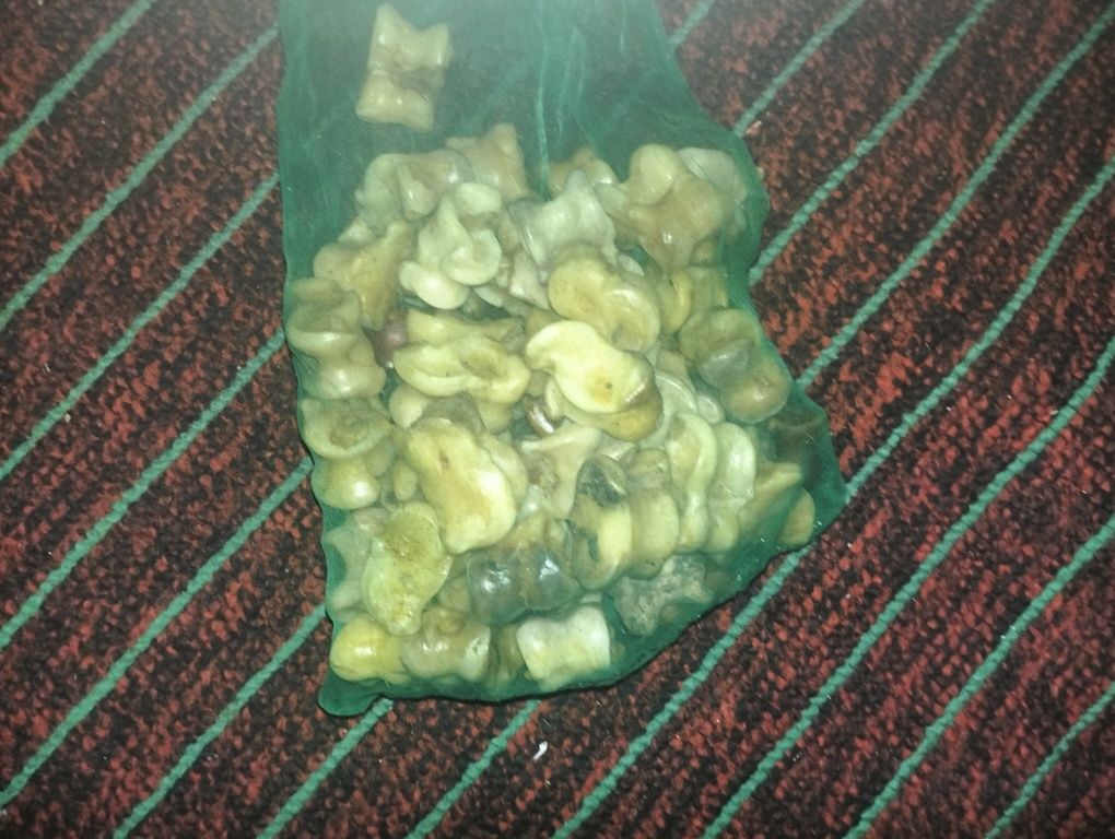 Сәлеметсізбе мына асық сатылады