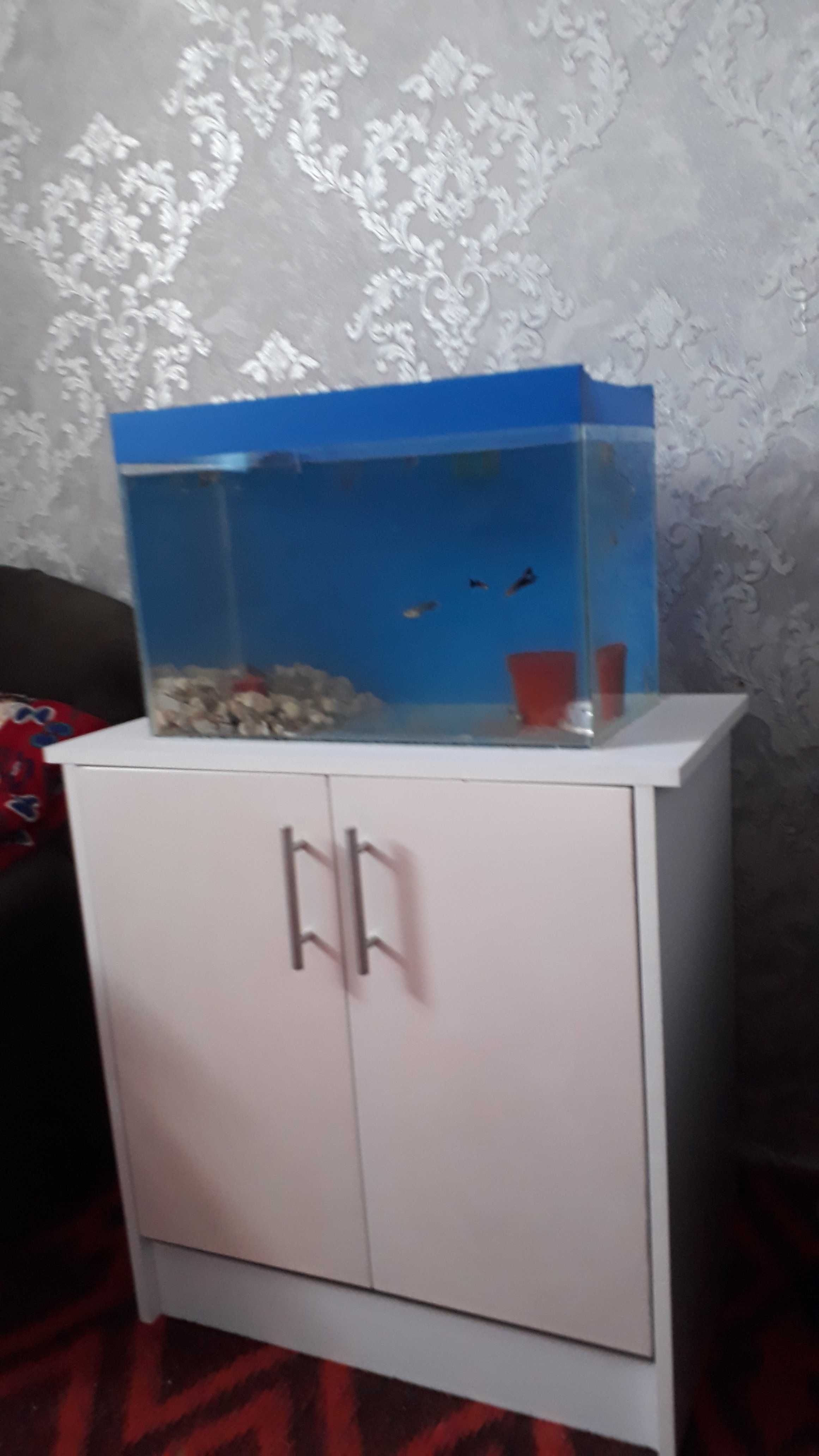 Аквариум с подставкой