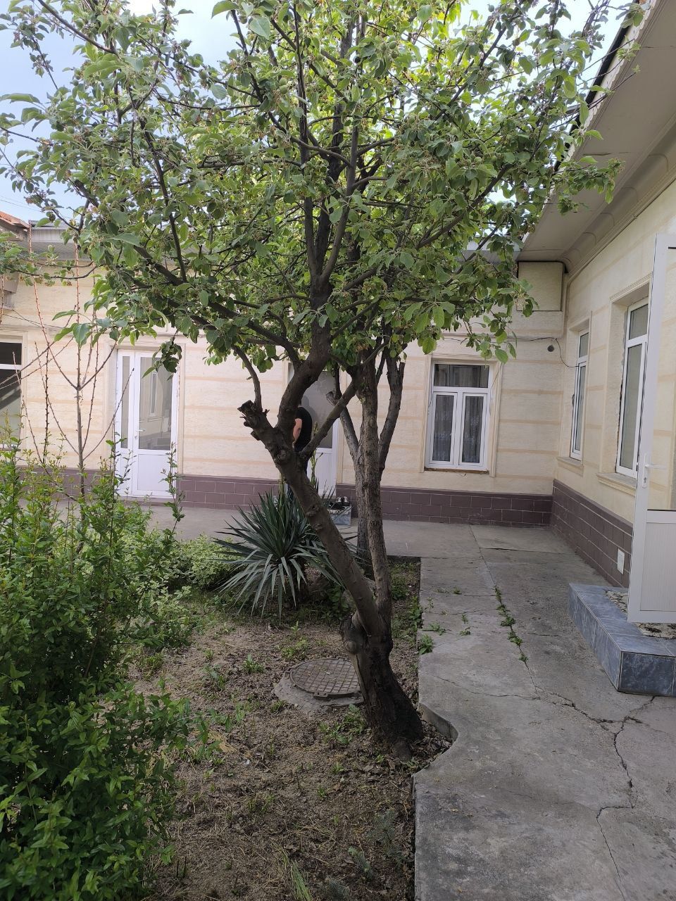 NOVAMASKOVKIY qazi mahalla 3 sotix uy sotiladi