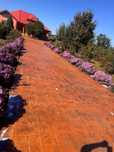 Beton amprentat / elicopterizat / amprentat vertical