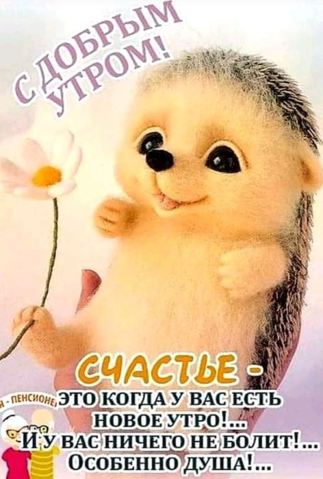 Няня на дому. Начало Сейфуллина