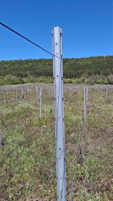 Vand spaleri zincati