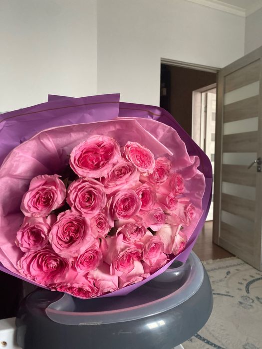 Цветы роза метровый