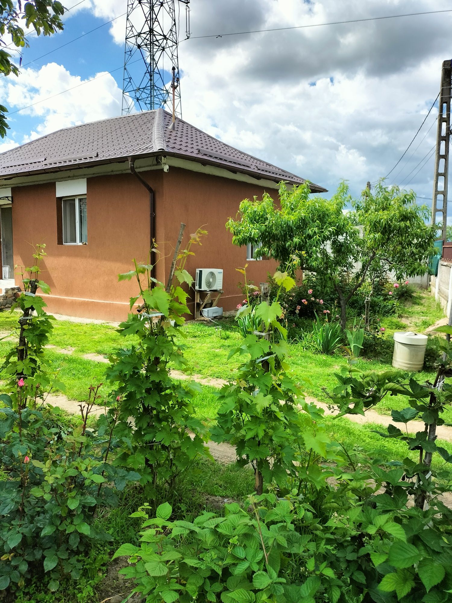 Vând casă în Balș